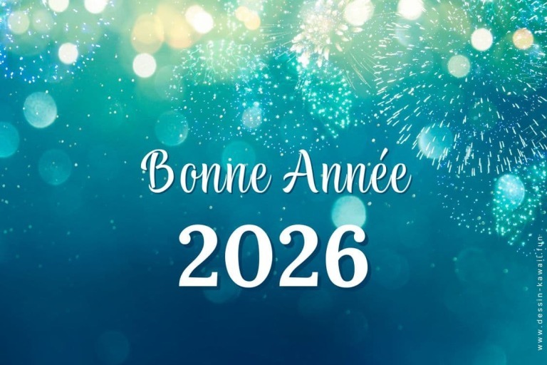 Meilleurs voeux 2026 !